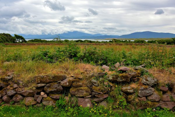 Irish Stone Wall along Dingle Peninsula, Ireland - Encircle Photos