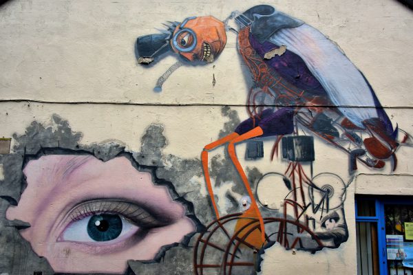 Giant Eye Mural in Galway, Ireland - Encircle Photos