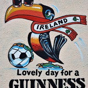 Guinness Toucan Mascot Mural  in Galway, Ireland - Encircle Photos