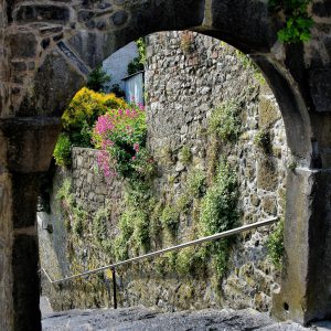 Archway of Saint Canice’s Steps in Kilkenny, Ireland - Encircle Photos