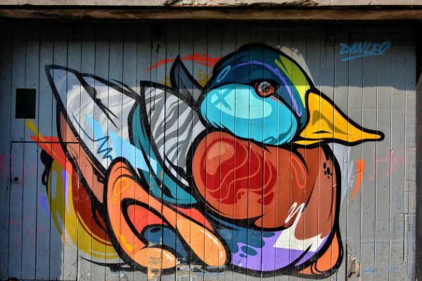 Stylized Duck Mural by Dan Leo in Kilkenny, Ireland - Encircle Photos