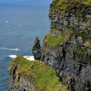 Bird Colonies at Cliffs of Moher near Liscannor, Ireland - Encircle Photos