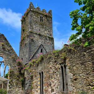 Greyfriars Abbey’s History in Waterford, Ireland - Encircle Photos