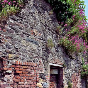 Old Stone Home on Little Michael Street in Waterford, Ireland - Encircle Photos