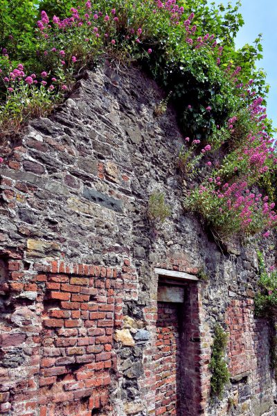 Old Stone Home on Little Michael Street in Waterford, Ireland - Encircle Photos