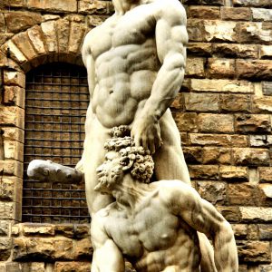 Statue of Hercules and Cacus in Piazza Della Signoria in Florence, Italy - Encircle Photos