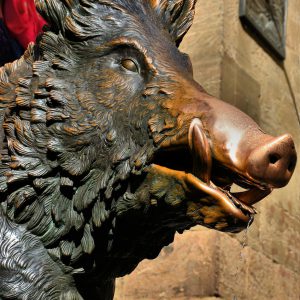 Porcellino Bronze Boar Fountain in Florence, Italy - Encircle Photos