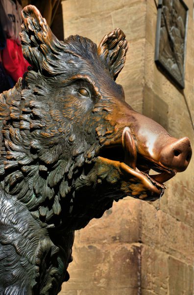 Porcellino Bronze Boar Fountain in Florence, Italy - Encircle Photos