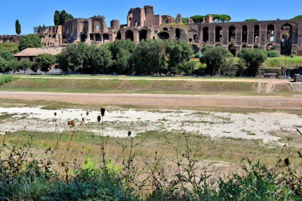 Palatine Hill Overlooking Circus Maximus in Rome, Italy - Encircle Photos