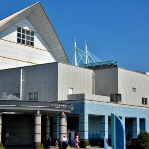 Kagoshima City Aquarium in Kagoshima, Japan - Encircle Photos