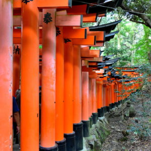 Senbon Torii at Fushimi Inari Taisha in Kyoto, Japan - Encircle Photos