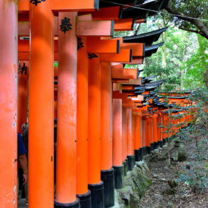 Senbon Torii at Fushimi Inari Taisha in Kyoto, Japan - Encircle Photos
