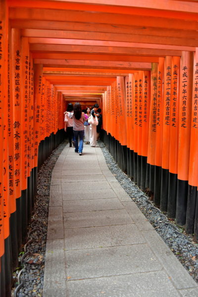 Walking Inside Senbon Torii at Fushimi Inari Taisha in Kyoto, Japan - Encircle Photos