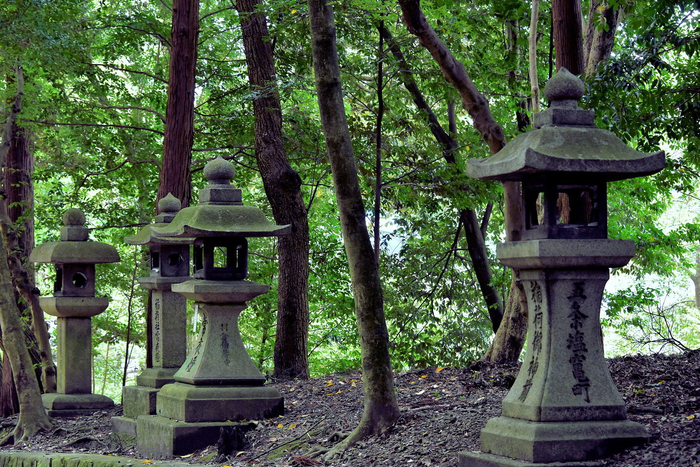 Stone Lanterns at Fushimi Inari Taisha in Kyoto, Japan - Encircle Photos