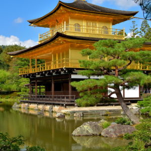 Golden Pavilion Side View at Kinkaku-ji in Kyoto, Japan - Encircle Photos
