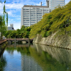 Historic Description of Shizuoka, Japan - Encircle Photos