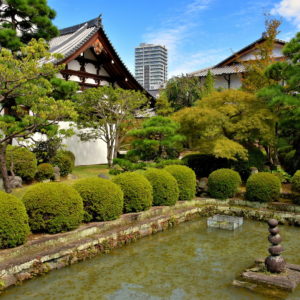 Hodaiji Temple in Shizuoka, Japan - Encircle Photos