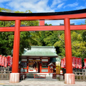 Torii of Otoshimioya Jinja at Shizuoka Sengen Jinja in Shizuoka, Japan - Encircle Photos
