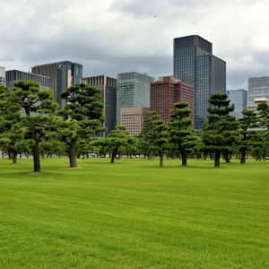 Kokyo Gaien National Gardens in Tokyo, Japan - Encircle Photos