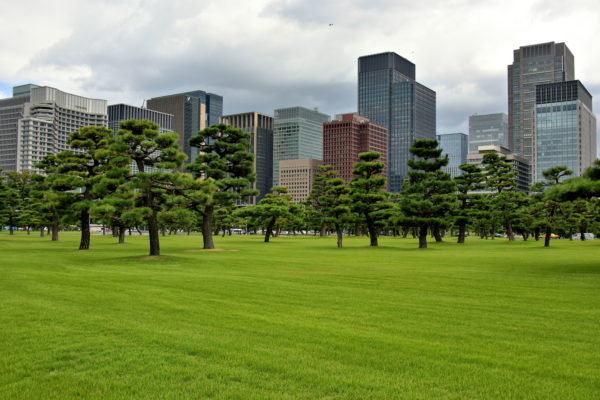 Kokyo Gaien National Gardens in Tokyo, Japan - Encircle Photos