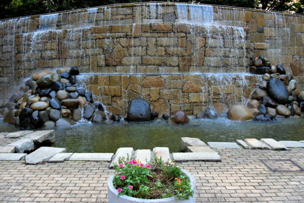 Waterfall at Shinjuku Central Park in Tokyo, Japan - Encircle Photos