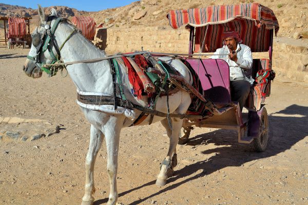 Horse-drawn Buggy Ride in Petra, Jordan - Encircle Photos