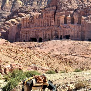 Corinthian and Palace Royal Tombs in Petra, Jordan - Encircle Photos