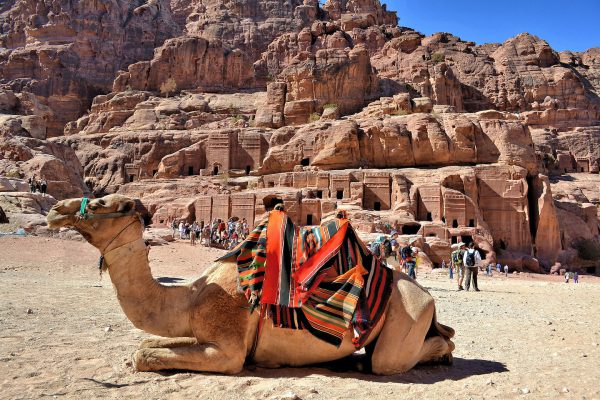 Camel Resting at Street of Façades in Petra, Jordan - Encircle Photos