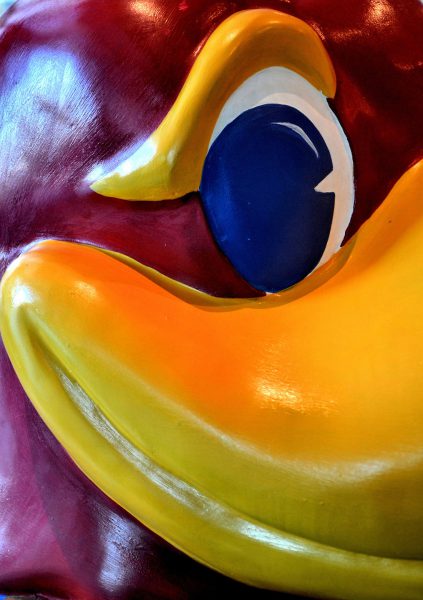 University of Kansas Jayhawks Mascot Big Jay in Lawrence, Kansas - Encircle Photos