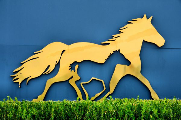 Kentucky Horse Park Logo in Lexington, Kentucky - Encircle Photos