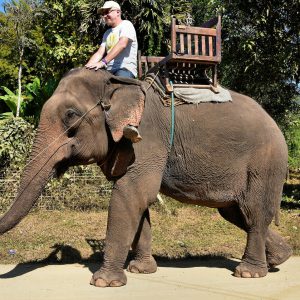Man Riding Asian Elephant in Ban Pak Ou, Laos - Encircle Photos