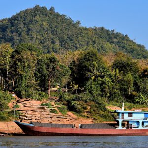 Logs Staged for Cargo Ship on Mekong River in Luang Prabang, Laos - Encircle Photos