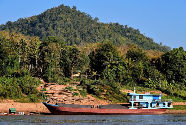 Logs Staged for Cargo Ship on Mekong River in Luang Prabang, Laos - Encircle Photos