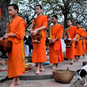 Monks Collecting Offerings during Sai Bat in Luang Prabang, Laos - Encircle Photos