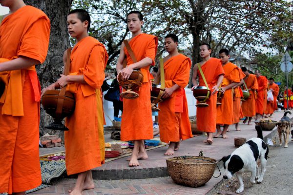 Monks Collecting Offerings during Sai Bat in Luang Prabang, Laos - Encircle Photos