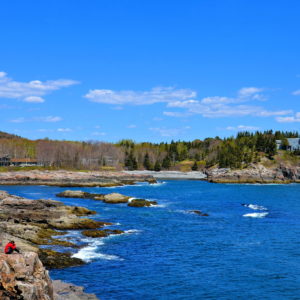 Schooner Head from Overlook in Acadia National Park, Maine - Encircle Photos