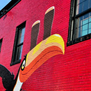 Toucan Balancing  Guinness Pints Mural at Brian Boru Irish Pub in Portland, Maine - Encircle Photos