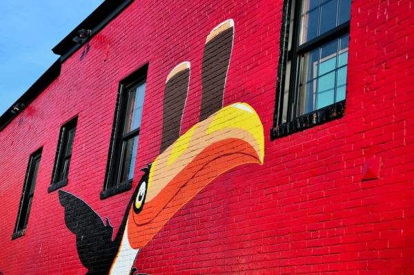 Toucan Balancing  Guinness Pints Mural at Brian Boru Irish Pub in Portland, Maine - Encircle Photos