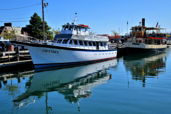 Whale Watching Tour on Waterfront in Portland, Maine - Encircle Photos