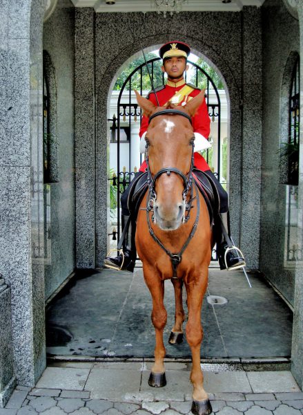 Istana Negara National Palace Guard on Horseback in Kuala Lumpur, Malaysia - Encircle Photos