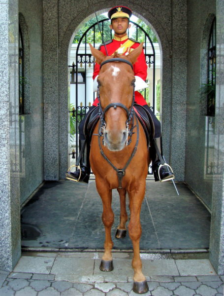 Mounted Guard at Old National Palace in Kuala Lumpur, Malaysia - Encircle Photos