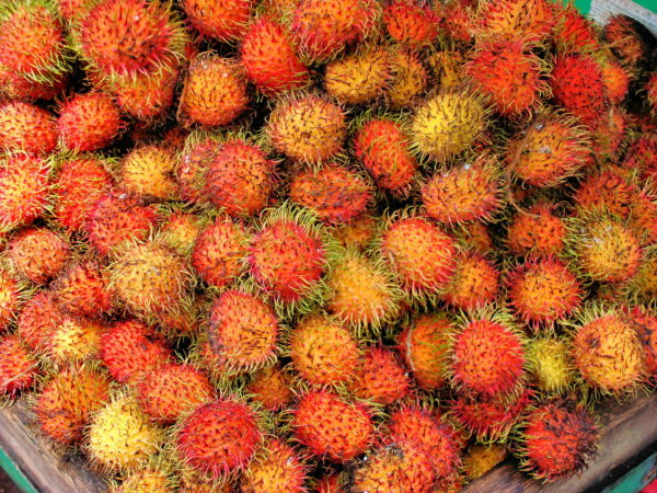 Rambutan Fruit in Kuala Lumpur, Malaysia - Encircle Photos