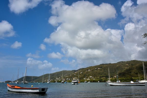 Sailboats in Cul-du-Sac du Marin in Le Marin, Martinique - Encircle Photos