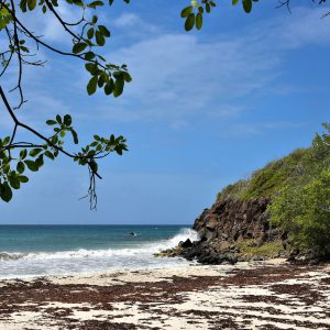 Grande Terre des Salines Beach near Sainte-Anne, Martinique - Encircle Photos