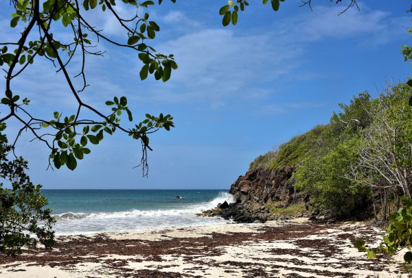 Grande Terre des Salines Beach near Sainte-Anne, Martinique - Encircle Photos