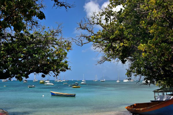Boats Moored at Pointe du Marin near Sainte-Anne, Martinique - Encircle Photos