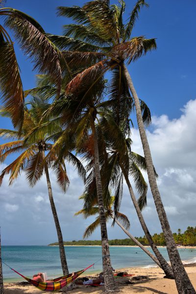 Reading Book in Hammock at Salines Beach near Sainte-Anne, Martinique - Encircle Photos