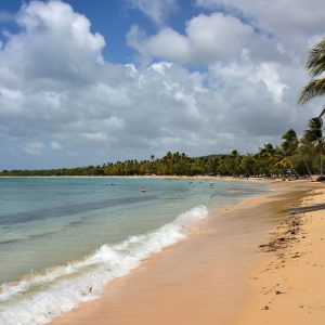 Top Rated Salines Beach near Sainte-Anne, Martinique - Encircle Photos