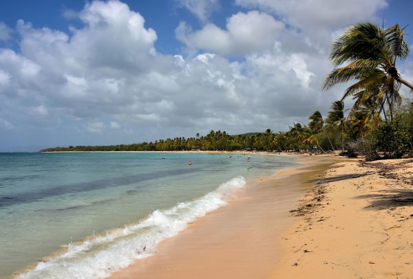 Top Rated Salines Beach near Sainte-Anne, Martinique - Encircle Photos