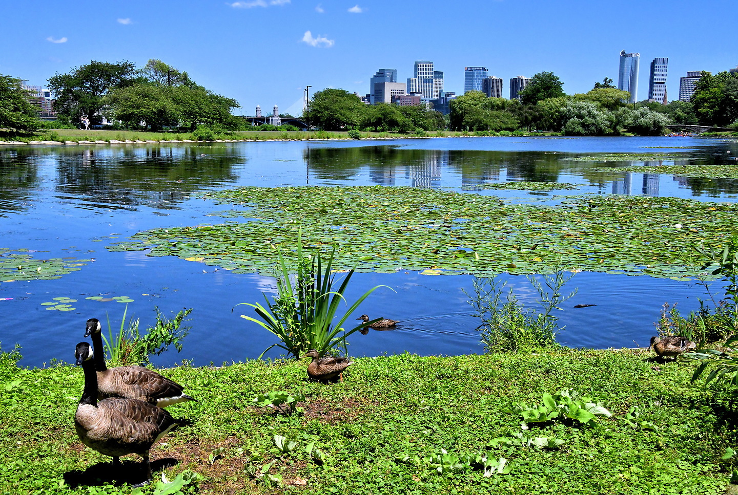 Chapter 11: Lagoon along Charles River Esplanade in Boston, Massachusetts - Encircle Photos